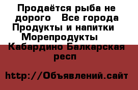 Продаётся рыба не дорого - Все города Продукты и напитки » Морепродукты   . Кабардино-Балкарская респ.